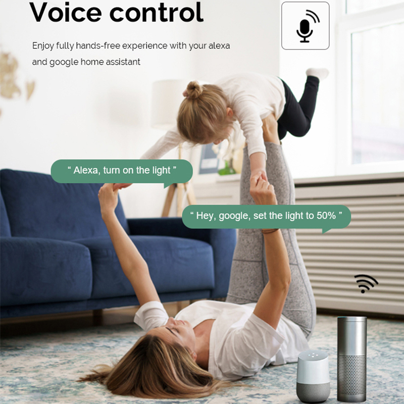 DIY  Wifi Smart Dimmer Switch  - Smart Home Certification 评论和价格