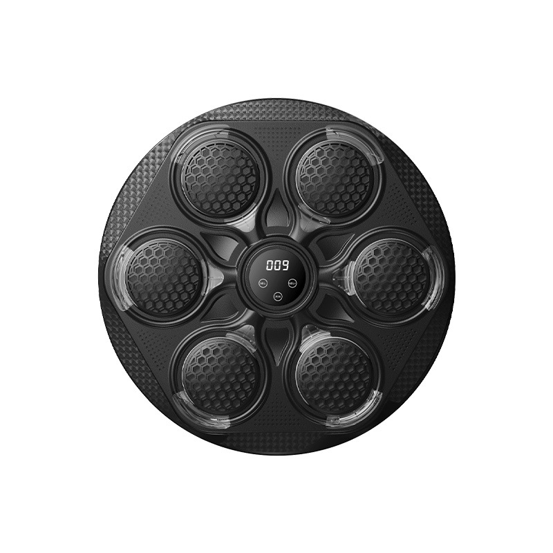 2026 Fitness Home Boxing Targe - Smart Home Trainer 评论和价格