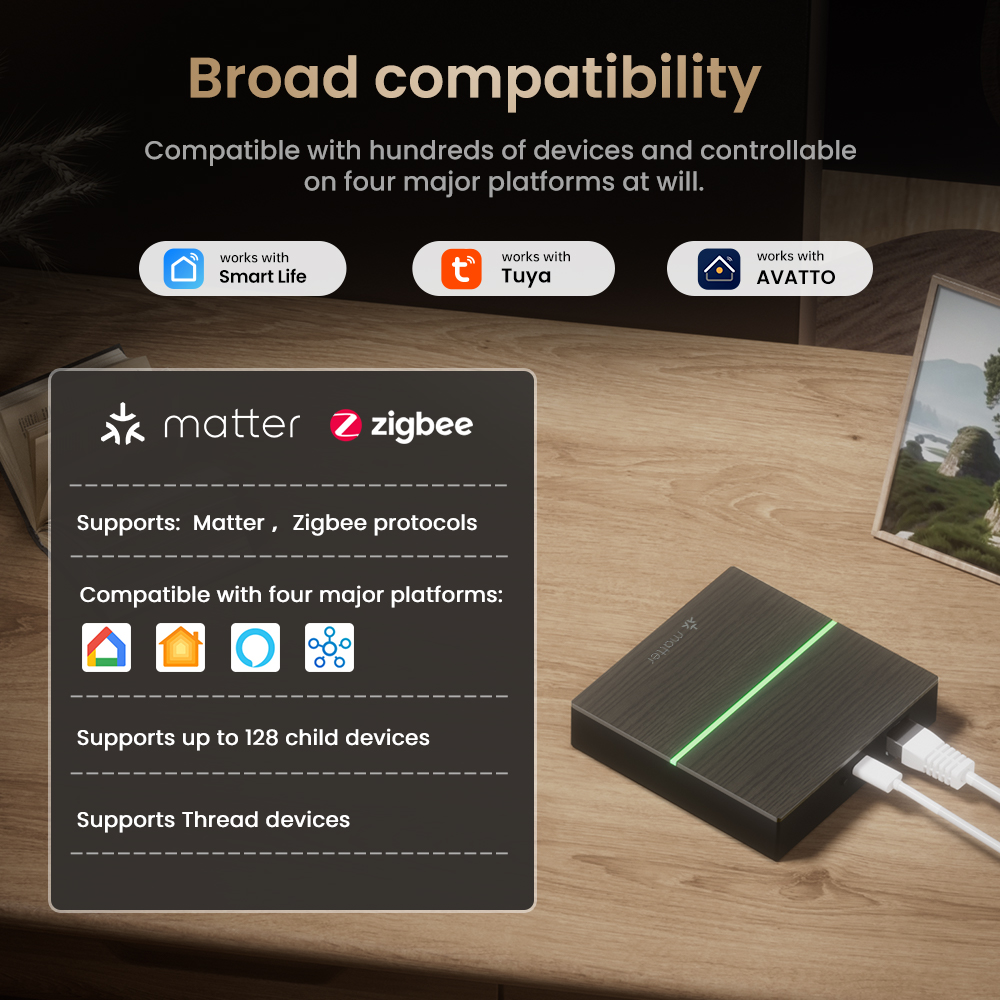 AVATTO Matter Smart Wired Gate - Smart Home Hub Matter 评论和价格