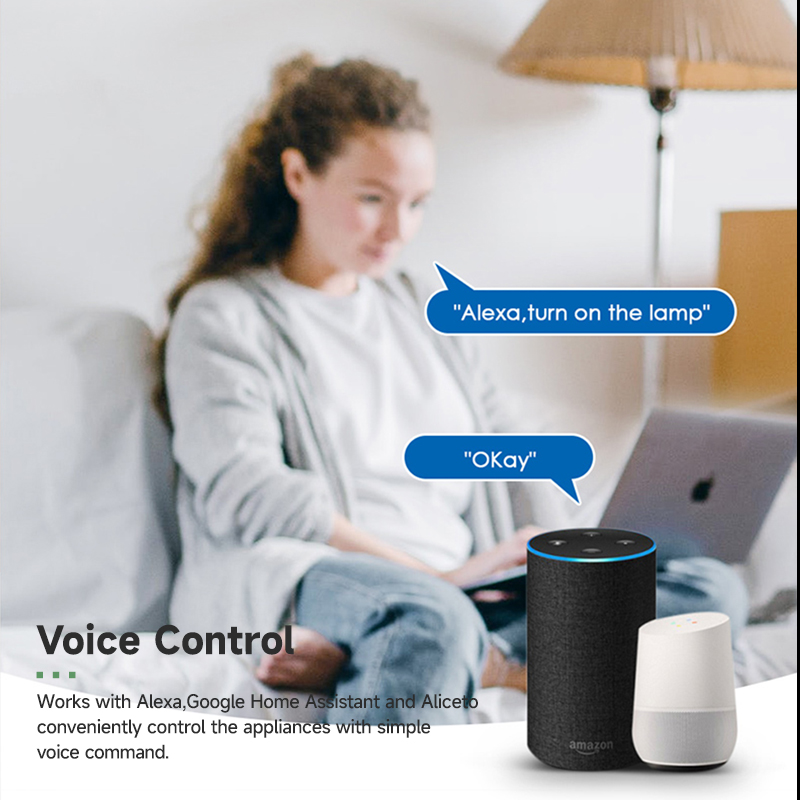 Tuya Smart WiFi Switch Module  - Tuya Wifi Socket 评论和价格