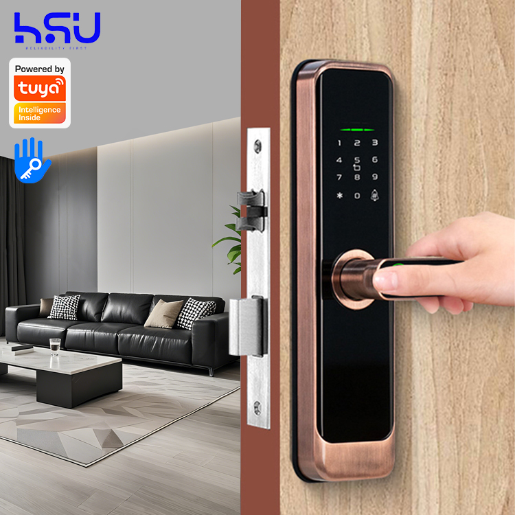 Digital Smart Doorlock Passcod - Smart Home Security 评论和价格
