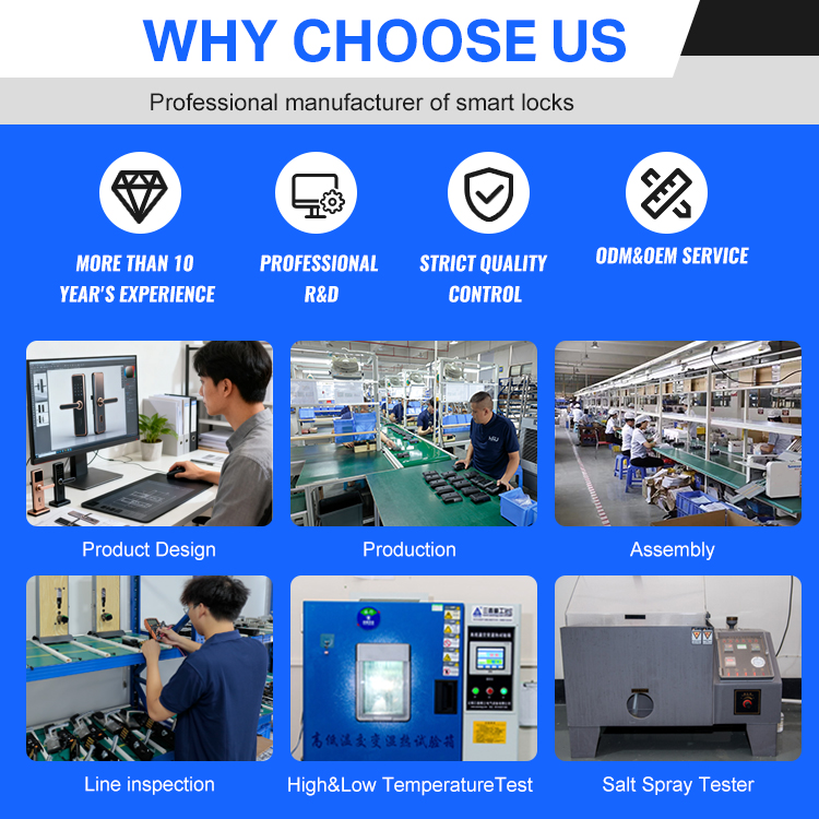 Digital Smart Doorlock Passcod - Smart Home Security 评论和价格