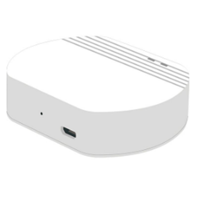 Y22A-Voice Control Works Wifi  - Smart Home Hub Device 评论和价格