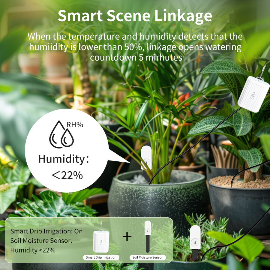 Smart Zigbee 3.0 Soil Tester H - Smart Home Zigbee 3.0 评论和价格