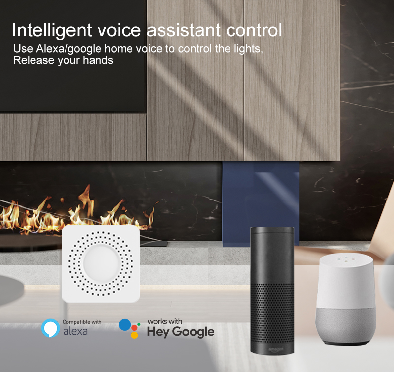 Tuya Mini Smart Switch WiFi 1- - Tuya Wifi Socket 评论和价格