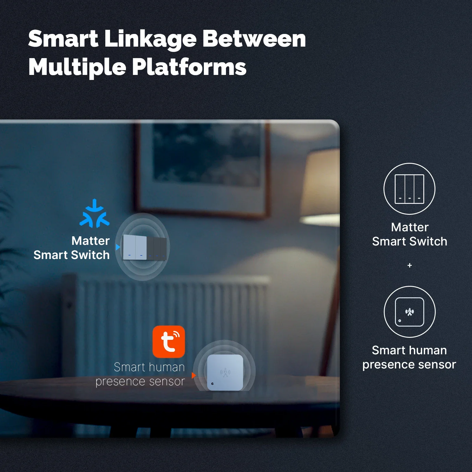 MOES Matter Tuya WiFi Smart Li - Smart Home Certification 评论和价格